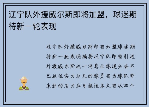 辽宁队外援威尔斯即将加盟，球迷期待新一轮表现